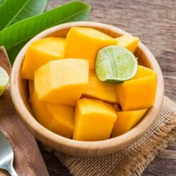 Alphonso Mango -Plant Sales Store Alphonso Mango 2 FGT