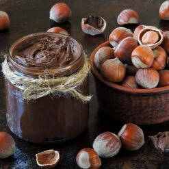 American Hazelnut Filbert 11 American Hazelnut Filbert -Plant Sales Store American Hazelnut 1