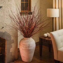 Arctic Fire® Red Twig Dogwood 10 Arctic Fire® Red Twig Dogwood -Plant Sales Store Arctic Fire Twig Dogwood 6 FGT