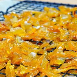 Buddha's Hand Citron -Plant Sales Store BUddhas Hand Citrus 5