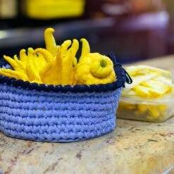 Buddha's Hand Citron -Plant Sales Store BUddhas Hand Citrus 6 FGT