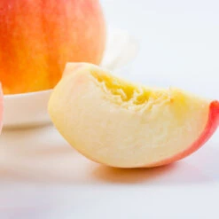 Belle Of Georgia Peach Tree -Plant Sales Store Belle of Georgia 3 ea75db8c 1c8e 47c4 9aac 3f7fe043655e