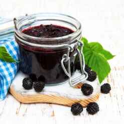 Big Daddy Blackberry Bush -Plant Sales Store Big Daddy Blackberry 3