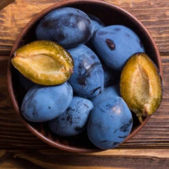 Brooks Plum Tree -Plant Sales Store Brooks Plum 2