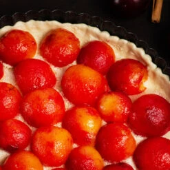 Bubblegum 'Toka' Plum Tree 9 Bubblegum 'Toka' Plum Tree -Plant Sales Store Bubblegum Toka Plum 3