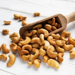 Cashew Tree 10 Cashew Tree -Plant Sales Store Cashew Nut Tree 5