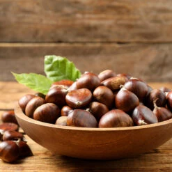 Chinese Chestnut Tree -Plant Sales Store Chinese Chestnut 3 FGT