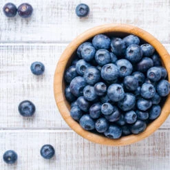 Climax Blueberry 10 Climax Blueberry -Plant Sales Store Climax Blueberry 4