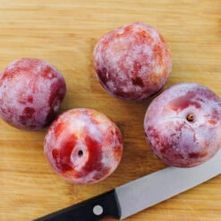 Dapple Dandy Pluot Tree 5 Dapple Dandy Pluot Tree -Plant Sales Store Dapple Dandy 2