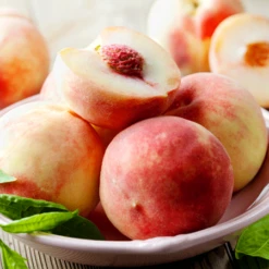 Early White Giant Peach Tree -Plant Sales Store Early White Giant Peach Tree 450 D1