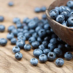 Emerald Blueberry Bush -Plant Sales Store Emerald Blueberries 1