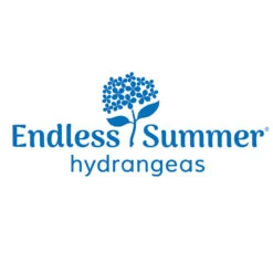 Endless Summer® Summer Crush® Hydrangea -Plant Sales Store Endless Summer Hydrangeas 1000x1000 347a4889 45a5 42f4 94f1 e0220955e380