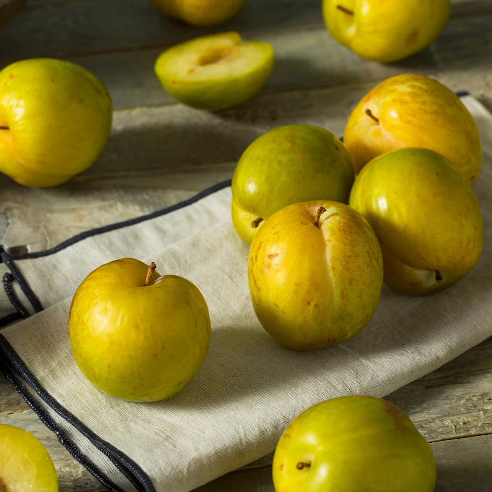 Flavor Queen Pluot® 2 Flavor Queen Pluot® - Image 2