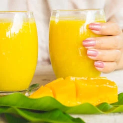 Ice Cream Mango Tree -Plant Sales Store Ice Cream Mango 4