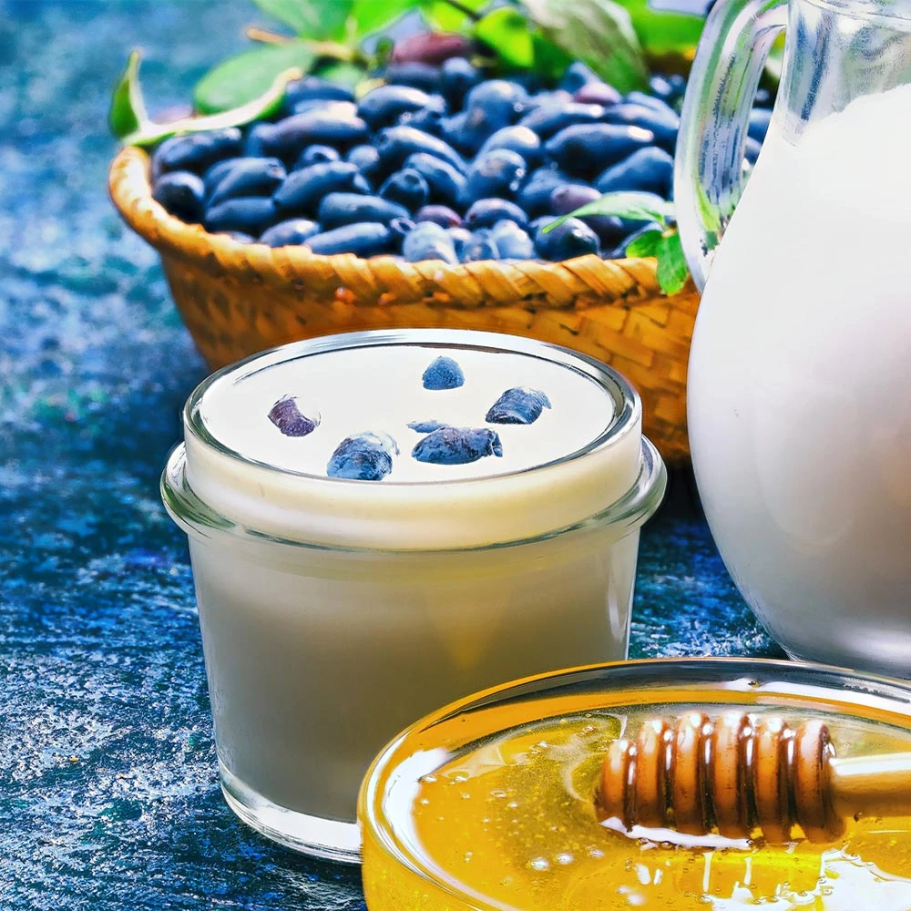 Indigo Gem Haskap (Honeyberry) 4 Indigo Gem Haskap (Honeyberry) - Image 4