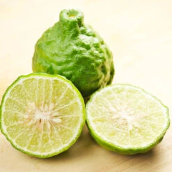 Kaffer 'Kieffer' Lime Tree -Plant Sales Store Kaffir Lime 7 FGT