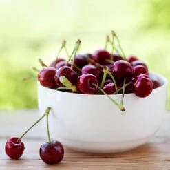 Lapins Cherry Tree -Plant Sales Store Lapins Cherry Tree 2 FGT 325a18e6 7143 4729 a41b b0d9614909b8