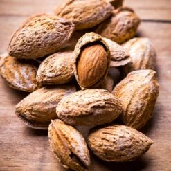 Nonpareil Almond Tree 8 Nonpareil Almond Tree -Plant Sales Store Nonpareil Almonds 3