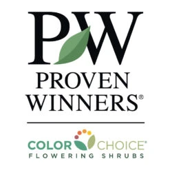 Gem Box® Holly Shrub -Plant Sales Store PW Logo CC 1000x1000 67b974b3 f7ca 4748 8995 48aaad6580b1