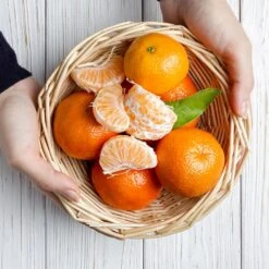 Page Mandarin Tree 7 Page Mandarin Tree -Plant Sales Store Page Mandarin Tree 2 FGT