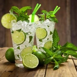 Persian 'Bearss' Lime Tree - USDA Organic 10 Persian 'Bearss' Lime Tree - USDA Organic -Plant Sales Store Persian Lime Tree 4 FGT 3e2376b1 dd45 4777 a1e5 8c0e252ea773