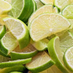 Persian 'Bearss' Lime Bush 8 Persian 'Bearss' Lime Bush -Plant Sales Store Pursian Lime Bush 1 FGT 8e948345 4f0b 4e96 a96f a17b7b31b7ab