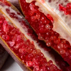 Red Finger Lime Tree -Plant Sales Store Red FInger Lime 1 1453b836 c1a1 4844 92f1 11e49d09cc4d