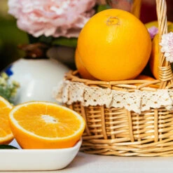 Robertson Navel Orange -Plant Sales Store Robertson Navel Orange 5 FGT