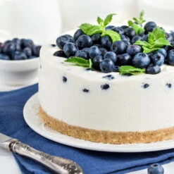 Sunshine Blue Blueberry Bush 7 Sunshine Blue Blueberry Bush -Plant Sales Store SUnshine BLue Blueberry 4