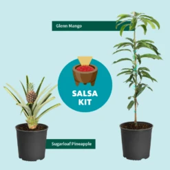 Salsa Kit 8 Salsa Kit -Plant Sales Store SalsaKitGraphic