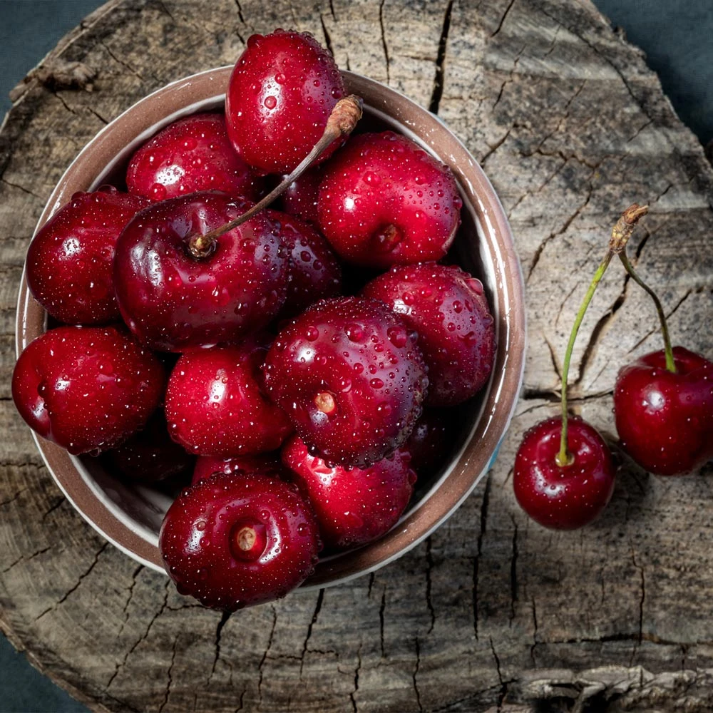 Santina™ Cherry Tree 3 Santina™ Cherry Tree - Image 3