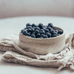 Sharpblue Blueberry Bush -Plant Sales Store Sharpblue Blueberry 1