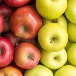 4-in-1 Apple Surprise Tree -Plant Sales Store Surprise Apple 1 fd4b319d eb68 4ca8 b9dc 6ed8dd5560c3