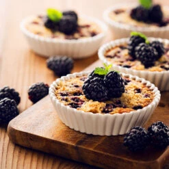 Thornless Blackberry 7 Thornless Blackberry -Plant Sales Store Thornless Blackberry 2