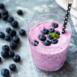 Tifblue Blueberry - USDA Organic -Plant Sales Store TifBlue Blueberry 5 37f1b7d7 b307 4c85 8687 7cfb86d2604c