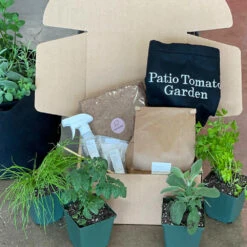 Patio Tomato Garden 9 Patio Tomato Garden -Plant Sales Store Tomato Garden kit 2