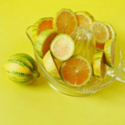 Pink Variegated Eureka Lemon Tree -Plant Sales Store Variegated Pink Eureka 3 fc1d5a93 7ca6 443b a4e9 221de3f12f84