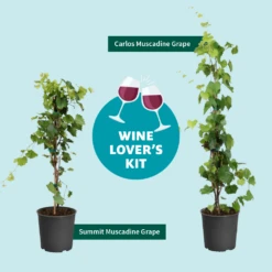 Wine Lover's Kit -Plant Sales Store WineLoversKitGraphic 2