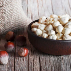 York Filbert Hazelnut 10 York Filbert Hazelnut -Plant Sales Store York Hazelnut 5